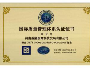 国际质量管理体系认证证书